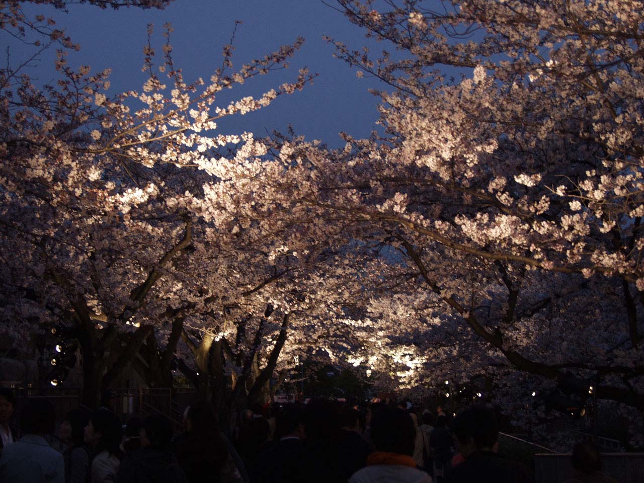 やすきたの写真館壁紙