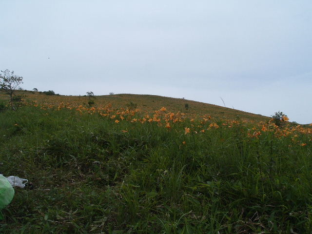 ������@1