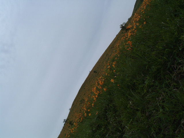 ������@2