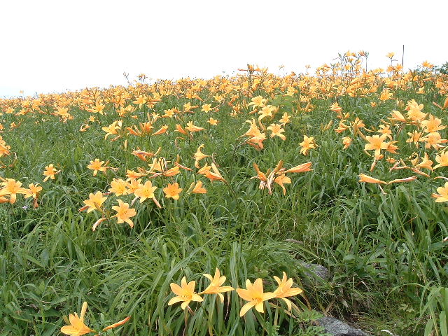 ������@3