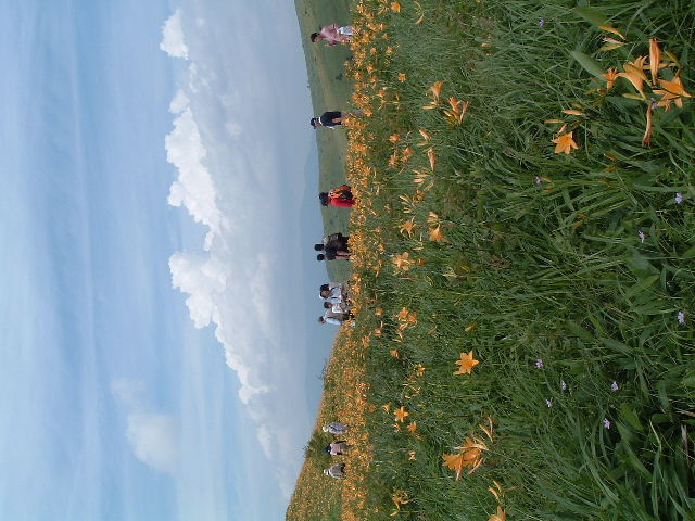 ������@4