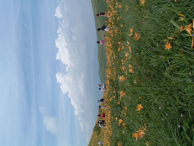 ������@5