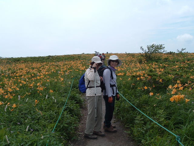 ������@6