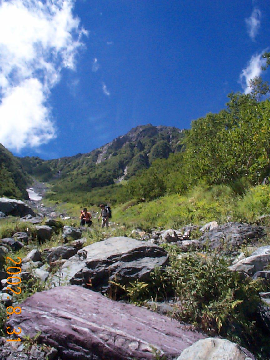 �k�x�A�ԃm�x�@1